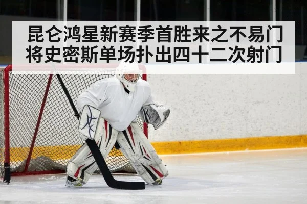 ice hockey defenseman