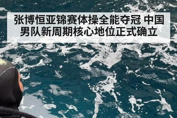 张博恒亚锦赛体操全能夺冠 中国男队新周期核心地位正式确立
