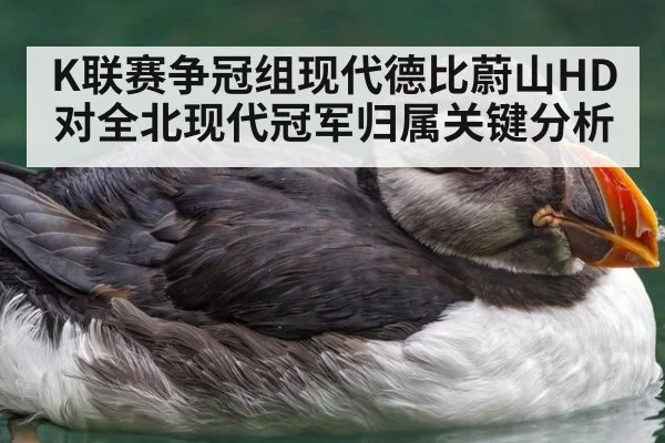 K联赛争冠组现代德比蔚山HD对全北现代冠军归属关键分析